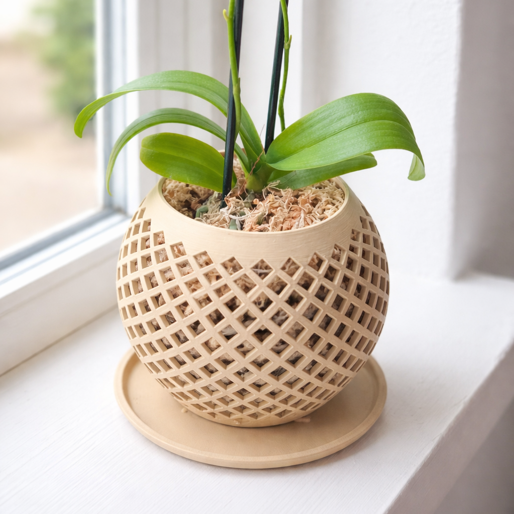 Nido Orquídea